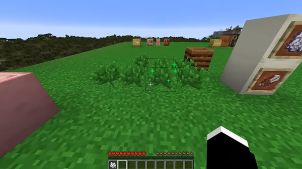 optifine 1 21 5 bedrock